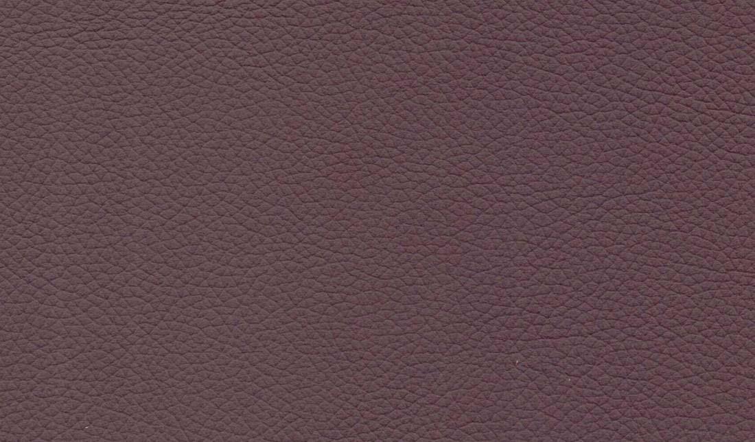 Shelly Leather Swatches