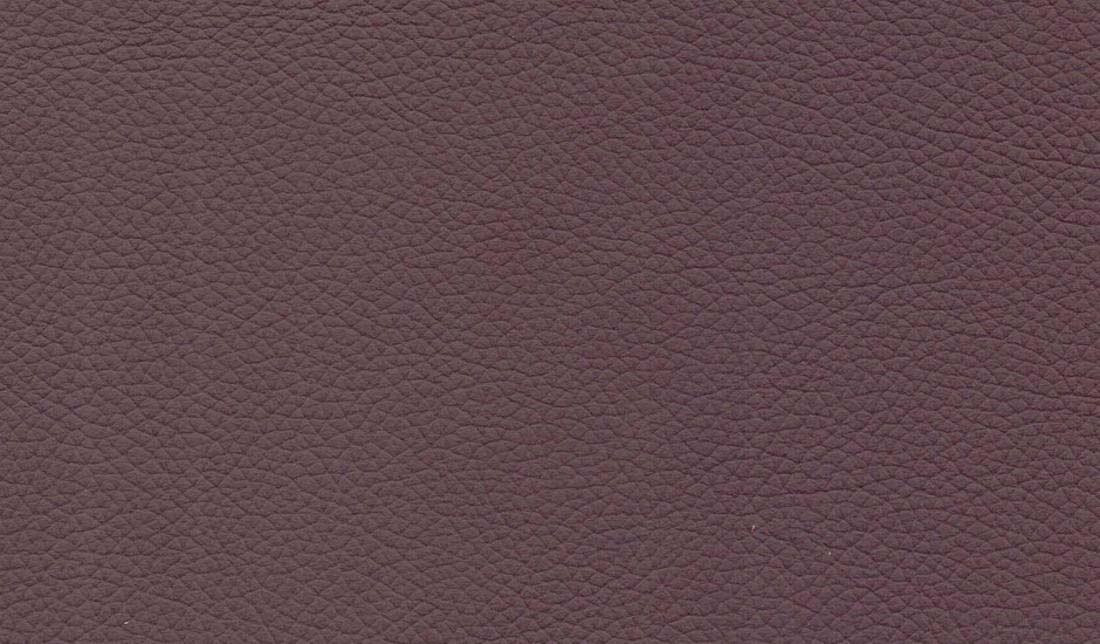 Shelly Leather Swatches