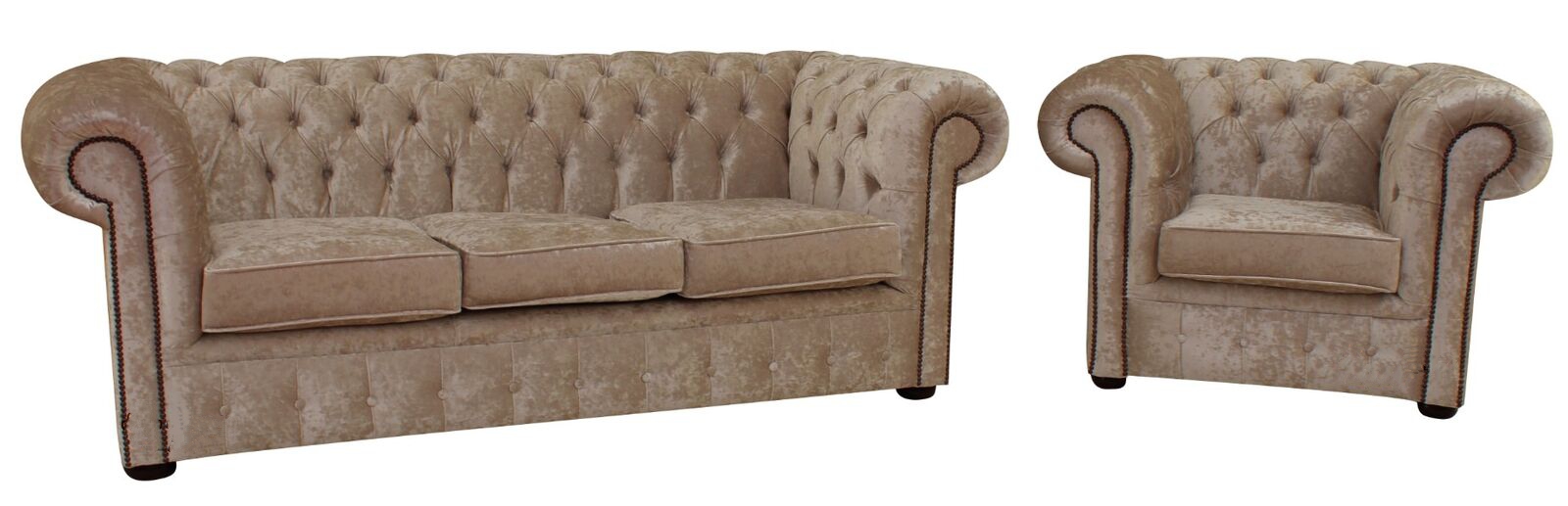 Product photograph of Chesterfield 3 Seater Club Chair Senso Oyster Velvet Fabric Suite In Classic Style from Chesterfield Sofas.