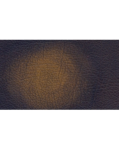 Antique Gold Free Leather Swatch Sample