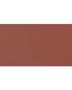 Shelly Castanga Free Leather Swatch Sample